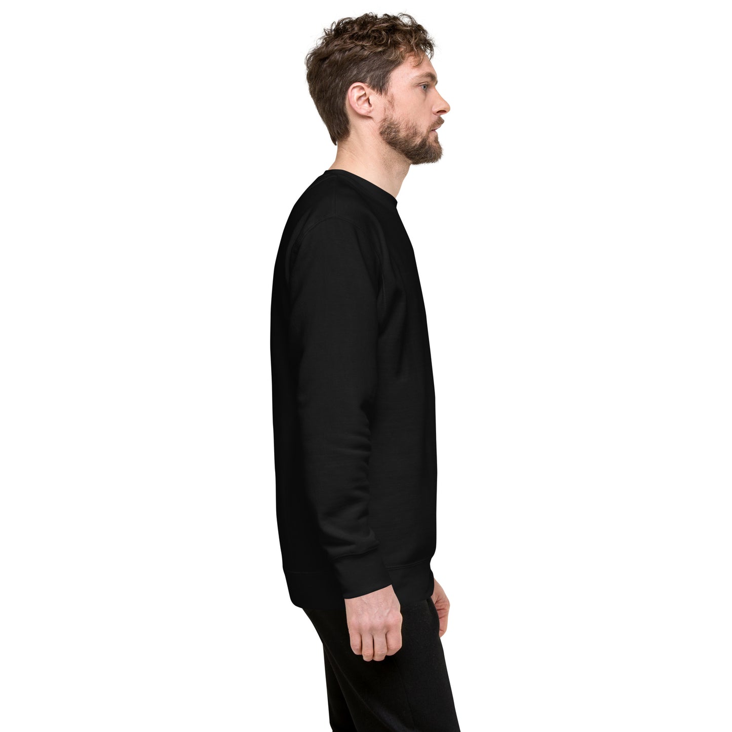 Premium "Elevated Entrepreneur Comfort" Sweatshirt